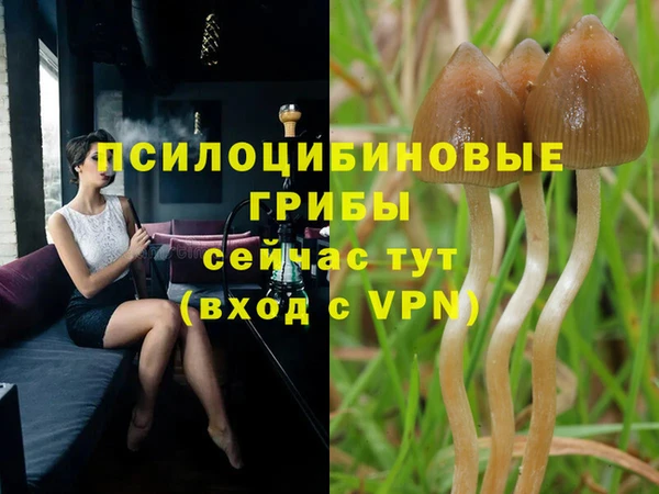 тгк Арсеньев
