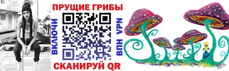 Псилоцибиновые грибы Cubensis  Тейково 